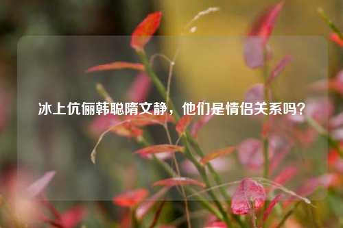冰上伉俪韩聪隋文静，他们是情侣关系吗？