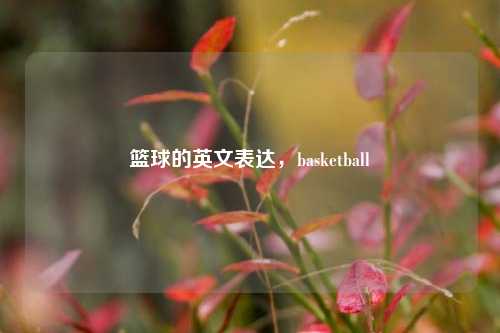 篮球的英文表达,basketball