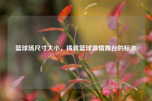篮球场尺寸大小,铸就篮球激情舞台的标准