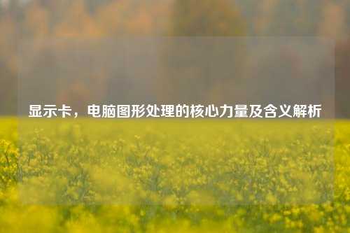 显示卡,电脑图形处理的核心力量及含义解析