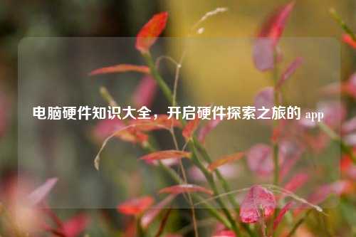 电脑硬件知识大全，开启硬件探索之旅的 app