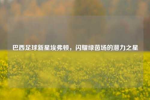 巴西足球新星埃弗顿,闪耀绿茵场的潜力之星
