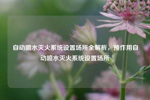自动喷水灭火系统设置场所全解析，预作用自动喷水灭火系统设置场所