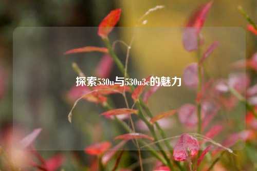 探索530u与530u3c的魅力