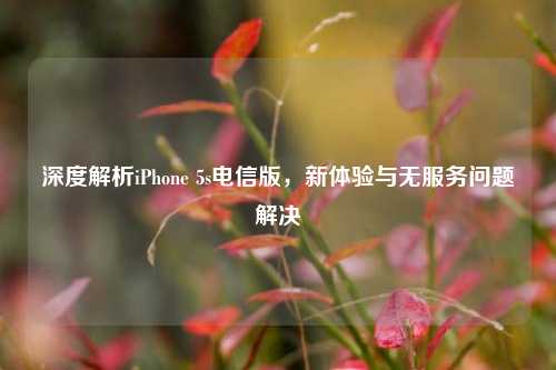 深度解析iPhone 5s电信版，新体验与无服务问题解决