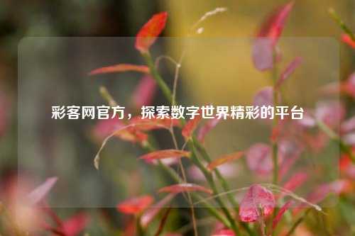 彩客网官方,探索数字世界精彩的平台
