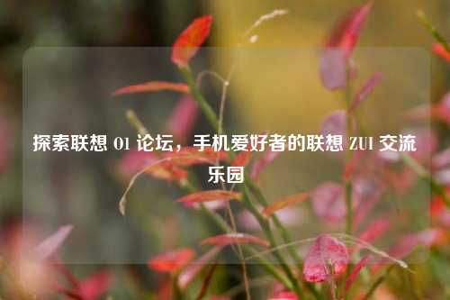 探索联想 O1 论坛,手机爱好者的联想 ZUI 交流乐园