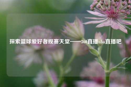 探索篮球爱好者观赛天堂——360直播nba直播吧