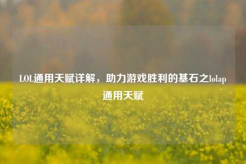 LOL通用天赋详解,助力游戏胜利的基石之lolap通用天赋