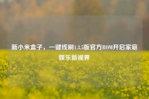 新小米盒子,一键线刷1.3.5版官方ROM开启家庭娱乐新视界