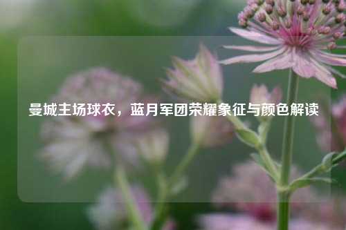 曼城主场球衣，蓝月军团荣耀象征与颜色解读