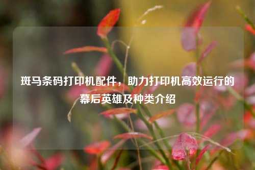 斑马条码打印机配件,助力打印机高效运行的幕后英雄及种类介绍
