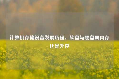 计算机存储设备发展历程,软盘与硬盘属内存还是外存