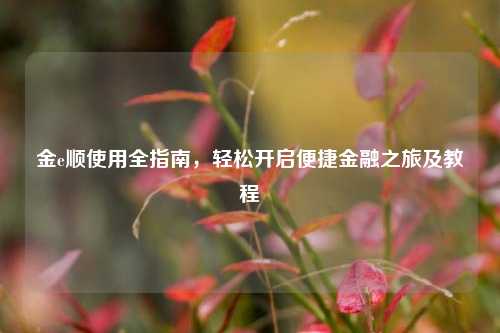 金e顺使用全指南，轻松开启便捷金融之旅及教程
