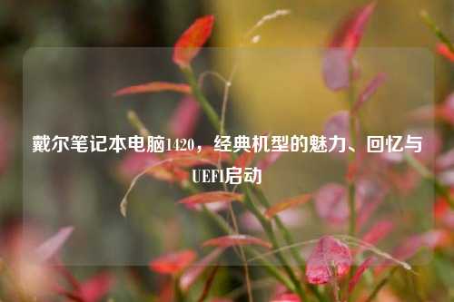 戴尔笔记本电脑1420,经典机型的魅力、回忆与UEFI启动