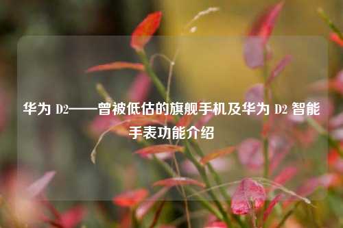 华为 D2——曾被低估的旗舰手机及华为 D2 智能手表功能介绍
