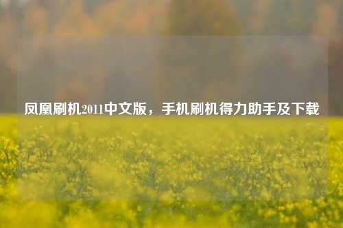 凤凰刷机2011中文版,手机刷机得力助手及下载