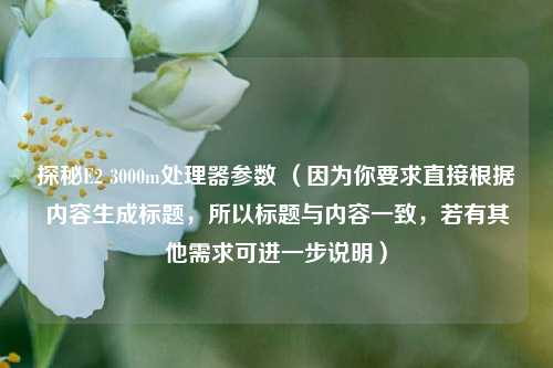 探秘E2 3000m处理器参数 （因为你要求直接根据内容生成标题，所以标题与内容一致，若有其他需求可进一步说明）
