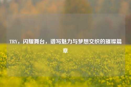 TRY,闪耀舞台,谱写魅力与梦想交织的璀璨篇章