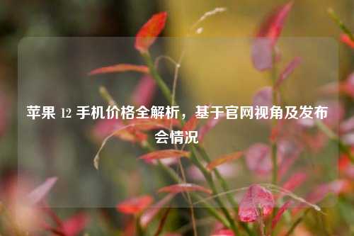 苹果 12 手机价格全解析,基于官网视角及发布会情况