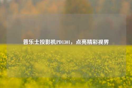 普乐士投影机PD1301,点亮精彩视界