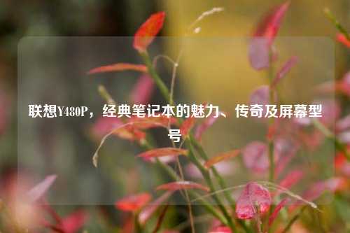 联想Y480P,经典笔记本的魅力、传奇及屏幕型号