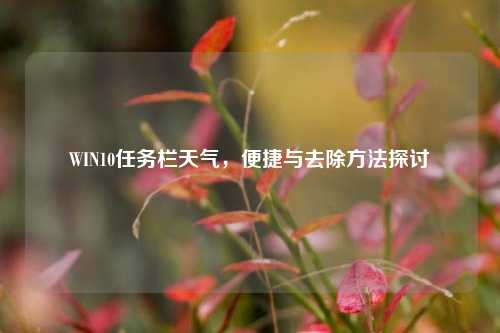 WIN10任务栏天气,便捷与去除方法探讨