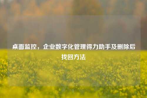 桌面监控，企业数字化管理得力助手及删除后找回方法