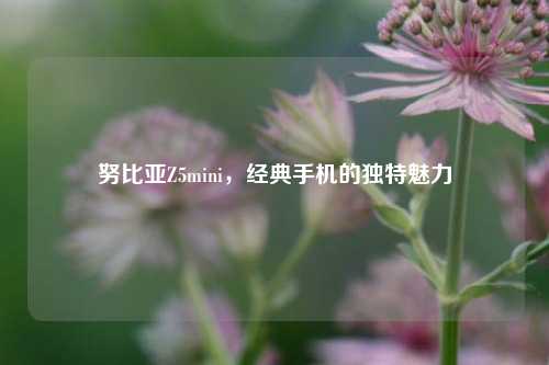 努比亚Z5mini,经典手机的独特魅力