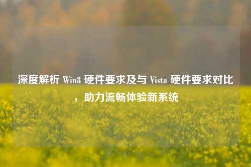 深度解析 Win8 硬件要求及与 Vista 硬件要求对比,助力流畅体验新系统