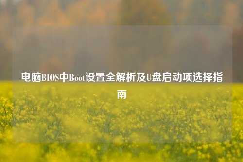 电脑BIOS中Boot设置全解析及U盘启动项选择指南
