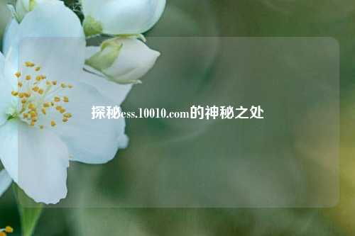 探秘ess.10010.com的神秘之处