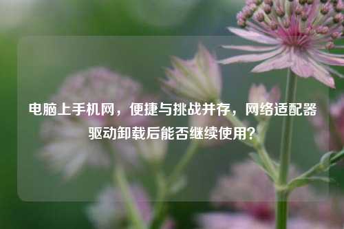 电脑上手机网,便捷与挑战并存,网络适配器驱动卸载后能否继续使用?