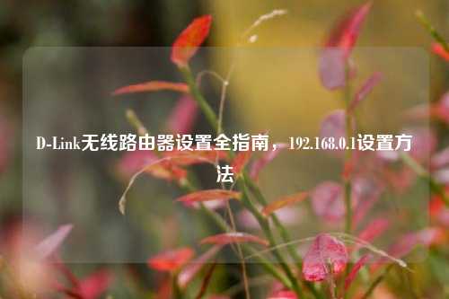 D-Link无线路由器设置全指南,192.168.0.1设置方法
