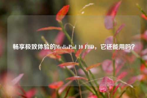 畅享极致体验的MediaPad 10 FHD，它还能用吗？