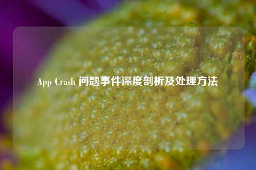 App Crash 问题事件深度剖析及处理方法