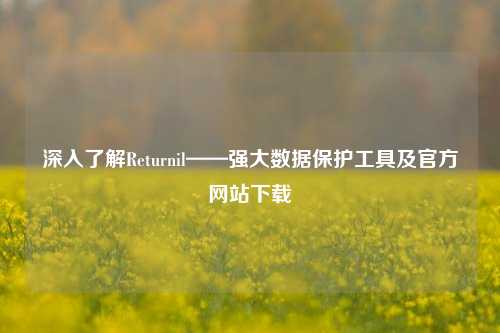 深入了解Returnil——强大数据保护工具及官方网站下载