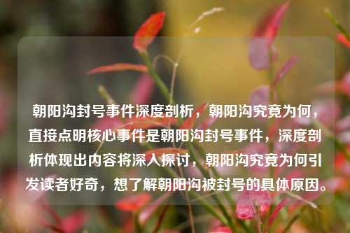 朝阳沟封号事件深度剖析,朝阳沟究竟为何,直接点明核心事件是朝阳沟封号事件,深度剖析体现出内容将深入探讨,朝阳沟究竟为何引发读者好奇,想了解朝阳沟被封号的具体原因。