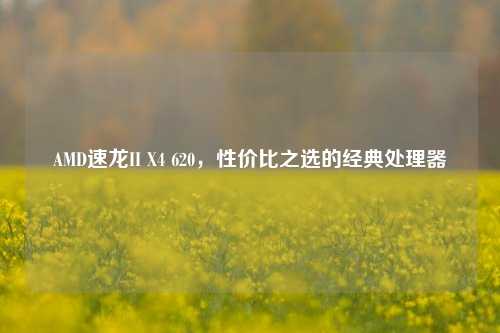 AMD速龙II X4 620,性价比之选的经典处理器