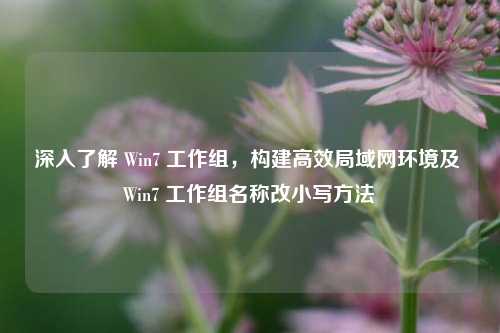 深入了解 Win7 工作组，构建高效局域网环境及 Win7 工作组名称改小写方法