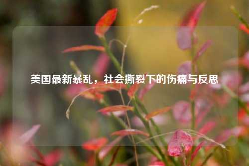 美国最新暴乱，社会撕裂下的伤痛与反思