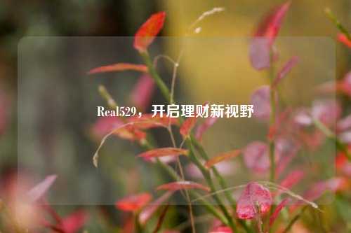 Real529,开启理财新视野