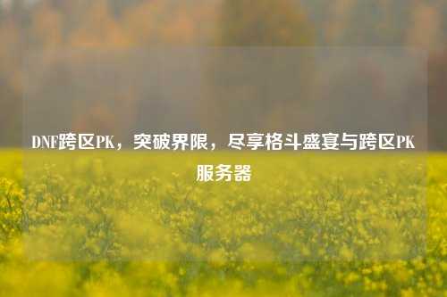 DNF跨区PK,突破界限,尽享格斗盛宴与跨区PK服务器