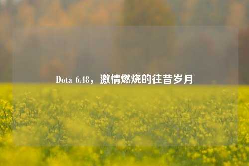 Dota 6.48,激情燃烧的往昔岁月