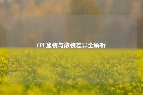 CPU盒装与散装差异全解析