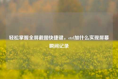 轻松掌握全屏截图快捷键，ctrl加什么实现屏幕瞬间记录