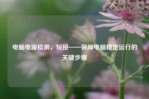 电脑电源检测,短接——保障电脑稳定运行的关键步骤