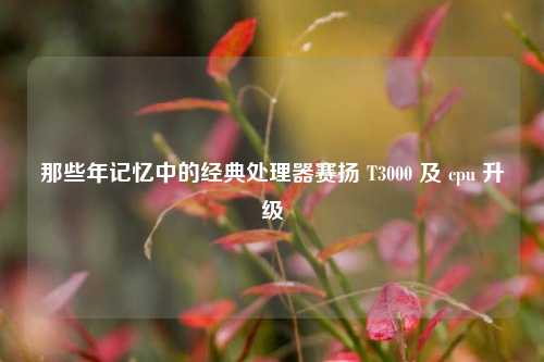 那些年记忆中的经典处理器赛扬 T3000 及 cpu 升级