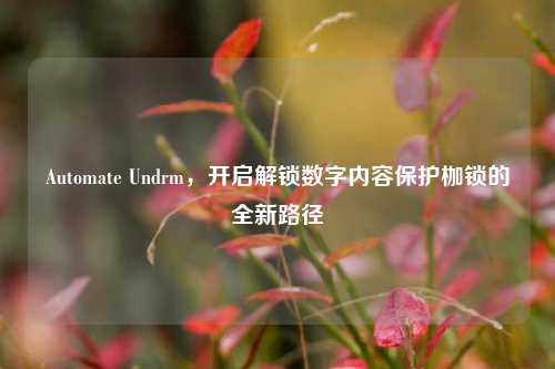 Automate Undrm,开启解锁数字内容保护枷锁的全新路径