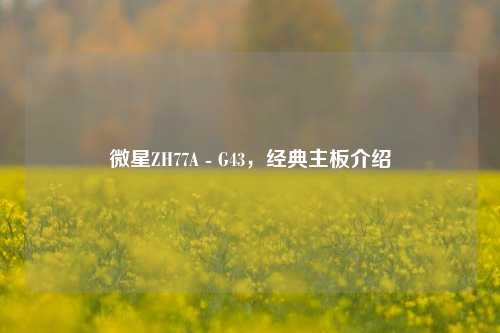 微星ZH77A - G43,经典主板介绍